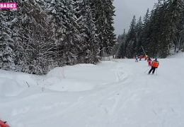 SUGARBABESTV : SNOWBOARD THIEF